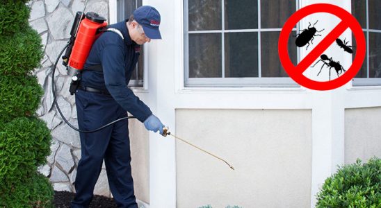 Başkale Haşere İlaçlama böcek ilaçlama ve haşere kontrolü — ilaclama-tr.com